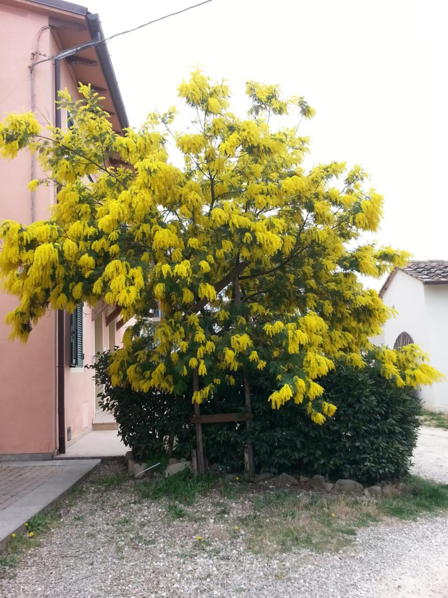 Casa Vacanze Santa Maria Certaldo Buitenkant foto